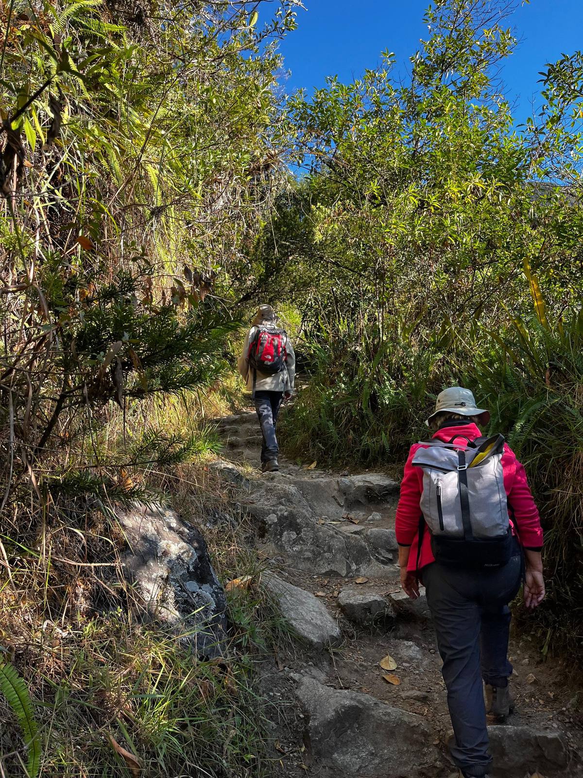 Randonneurs sur le Chemin de l'Inca