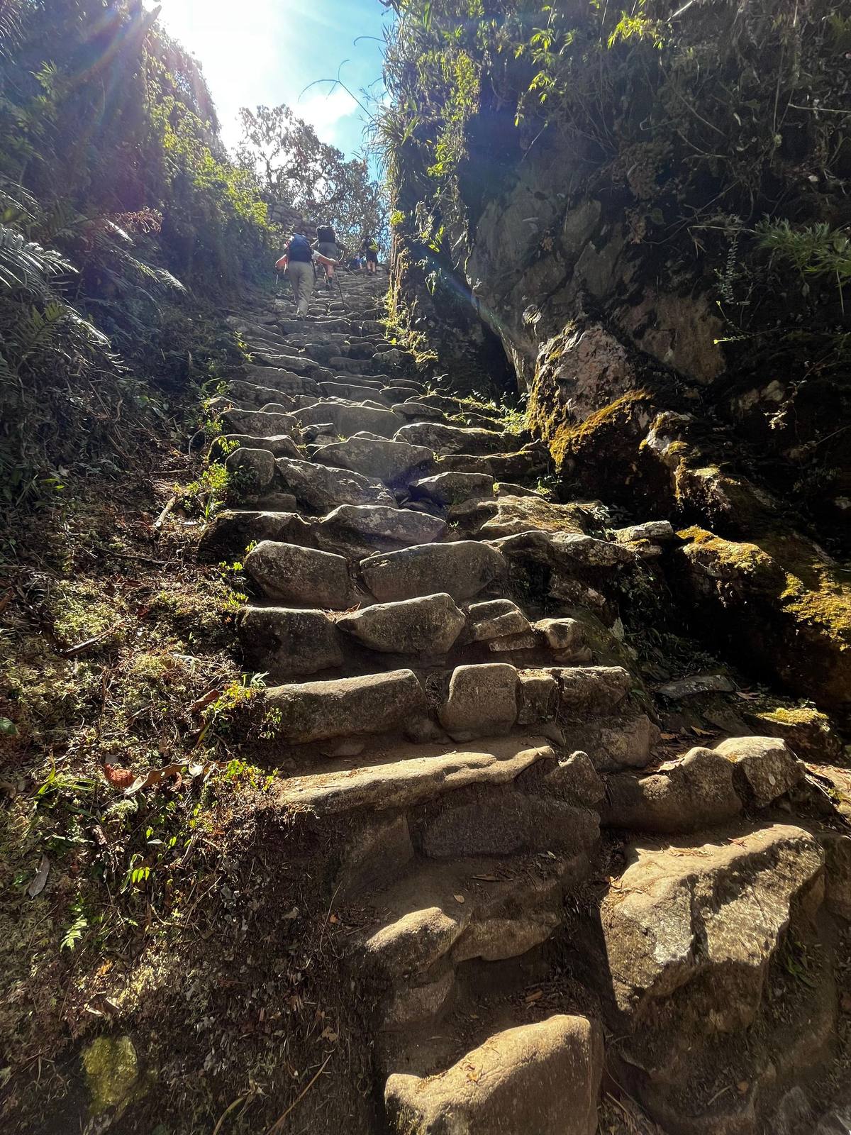 Voyageurs sur le Chemin de l'Inca